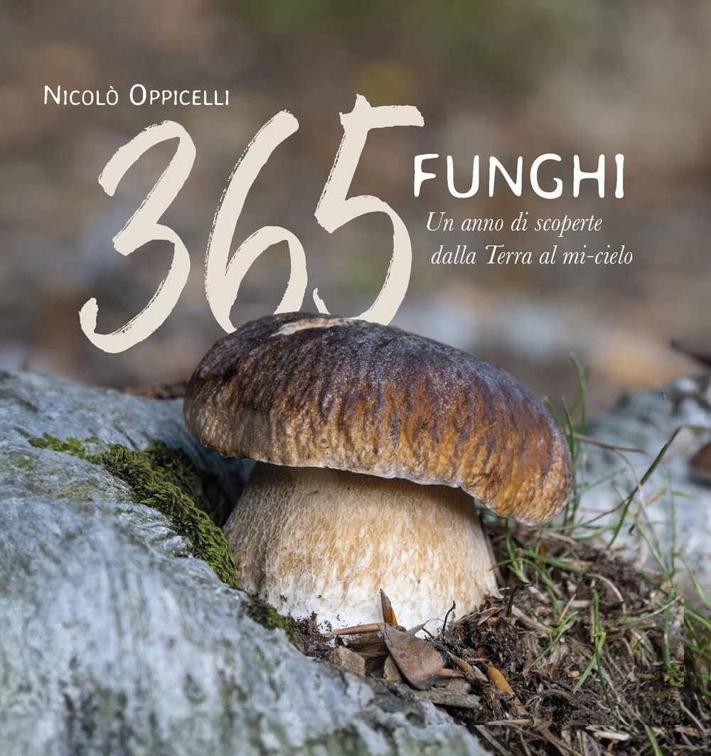 Copertina originale di 365 Funghi. Un anno di scoperte dalla Terra al mi-cielo