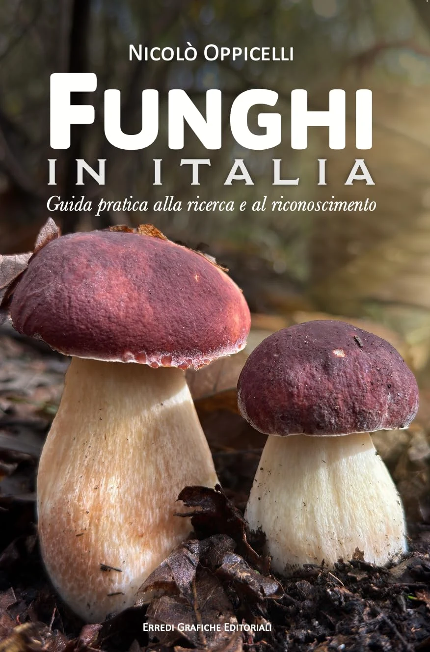 Copertina di Funghi in Italia. Guida pratica alla ricerca e al riconoscimento